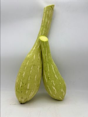 Courgettes Blanche -  la Coupe